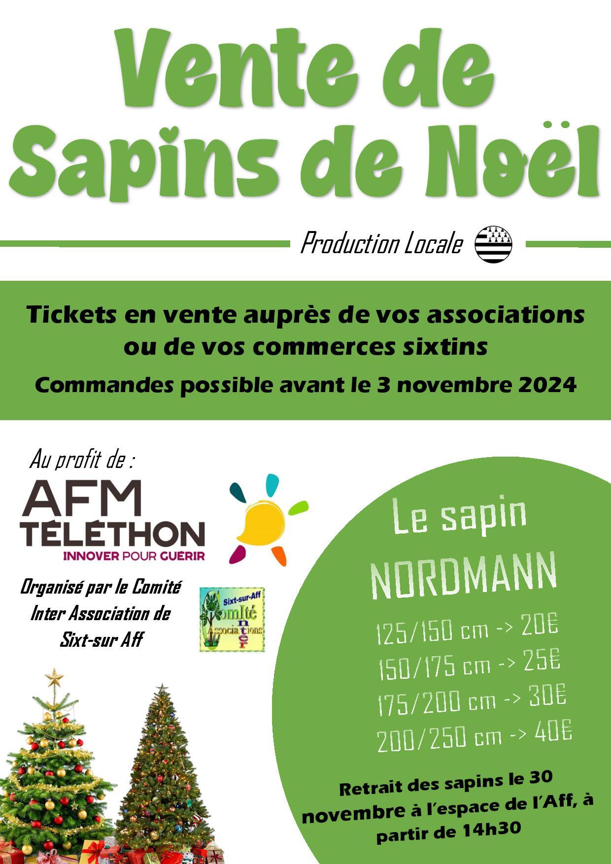 Affiche Sapin de Noel Téléthon 2024-page-001