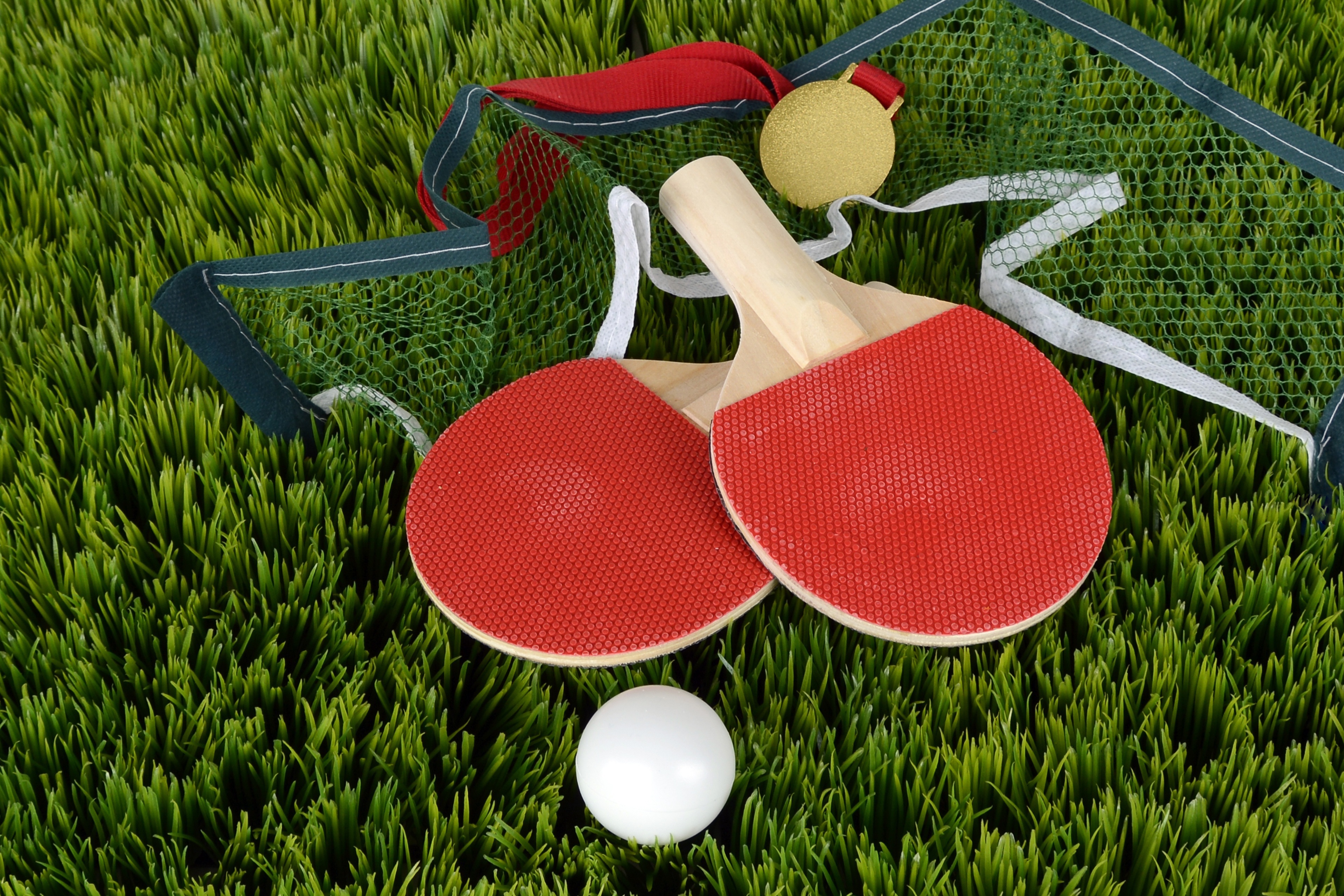 anncapictures-table-tennis-1428052