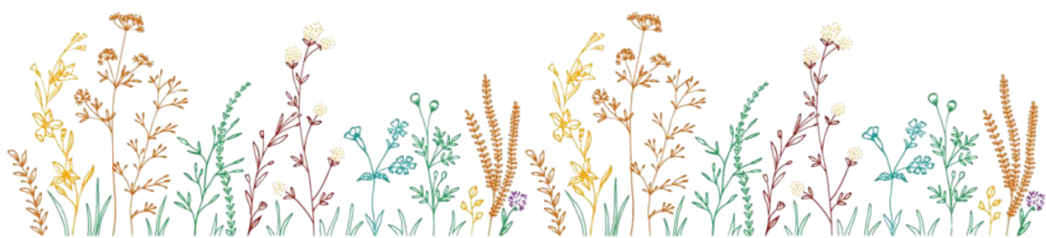 Logo_juste_les_fleurs_Couleur sans arrière plan