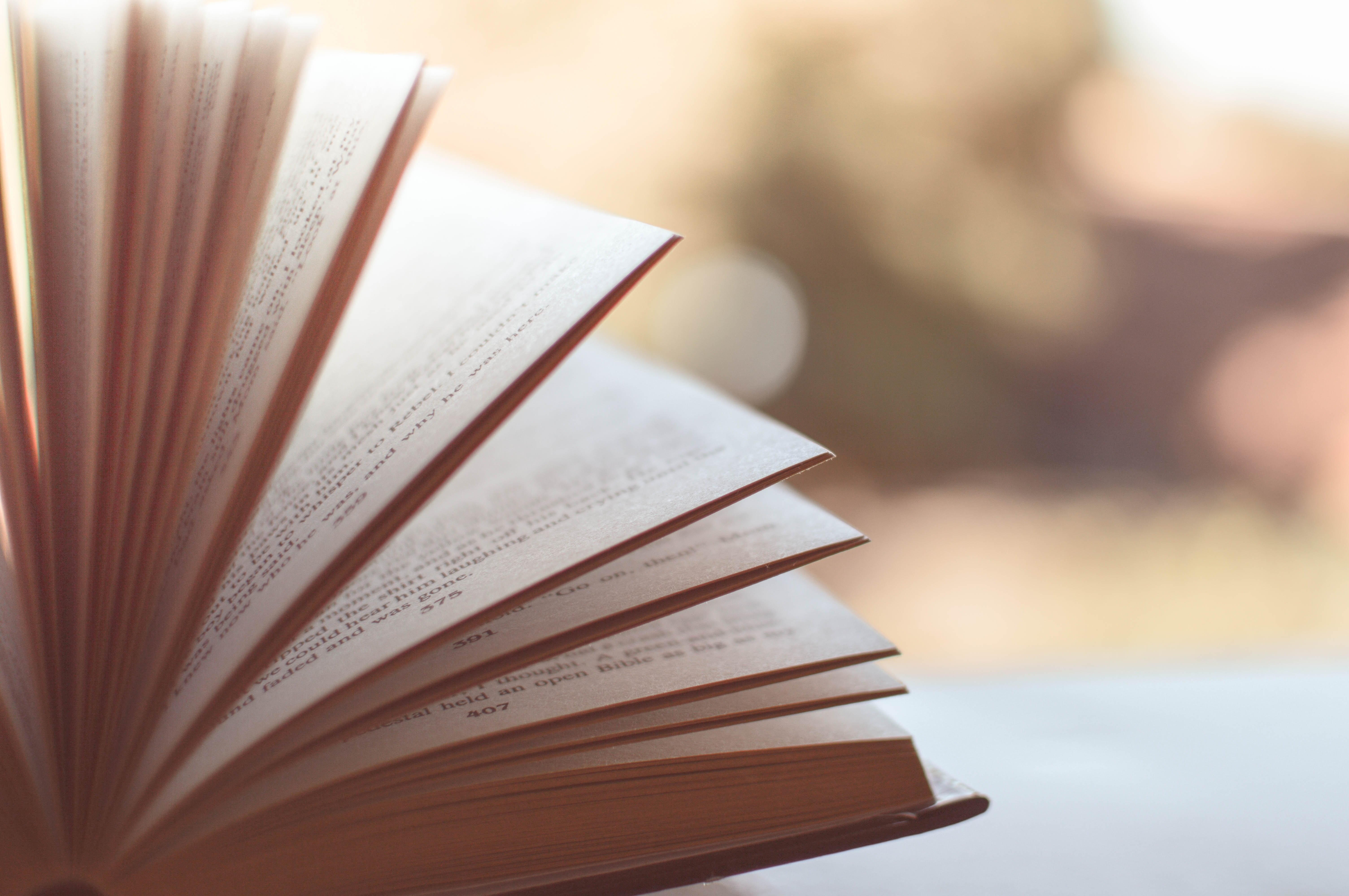 pexels-book-1283865