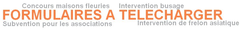 SiteInternet_Formulaires_2025
